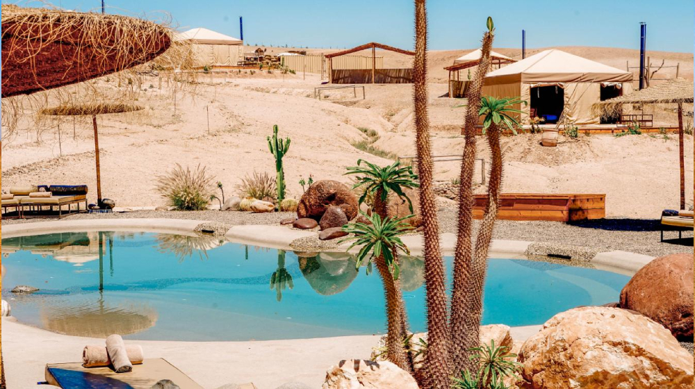 marrakech camel ride