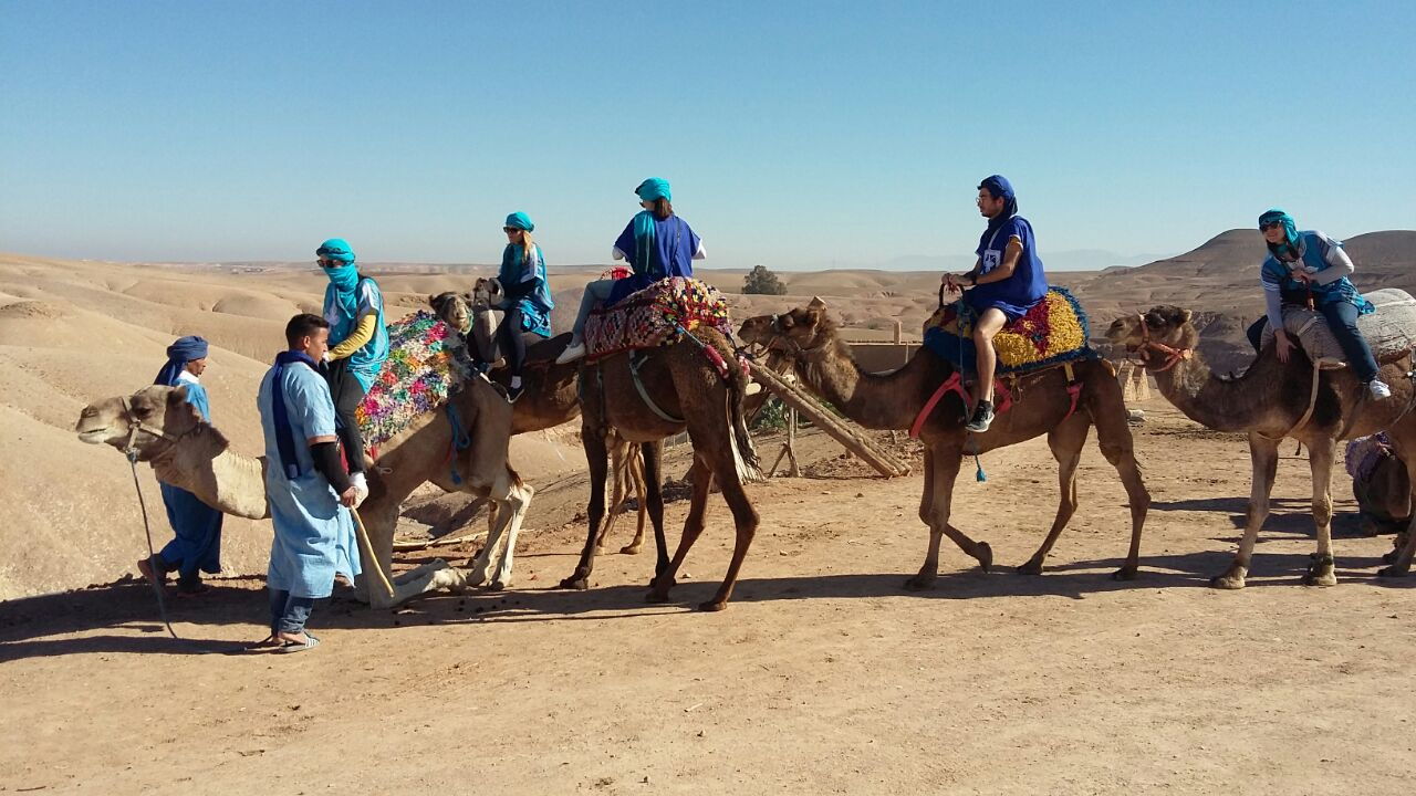 camel ride arrakech