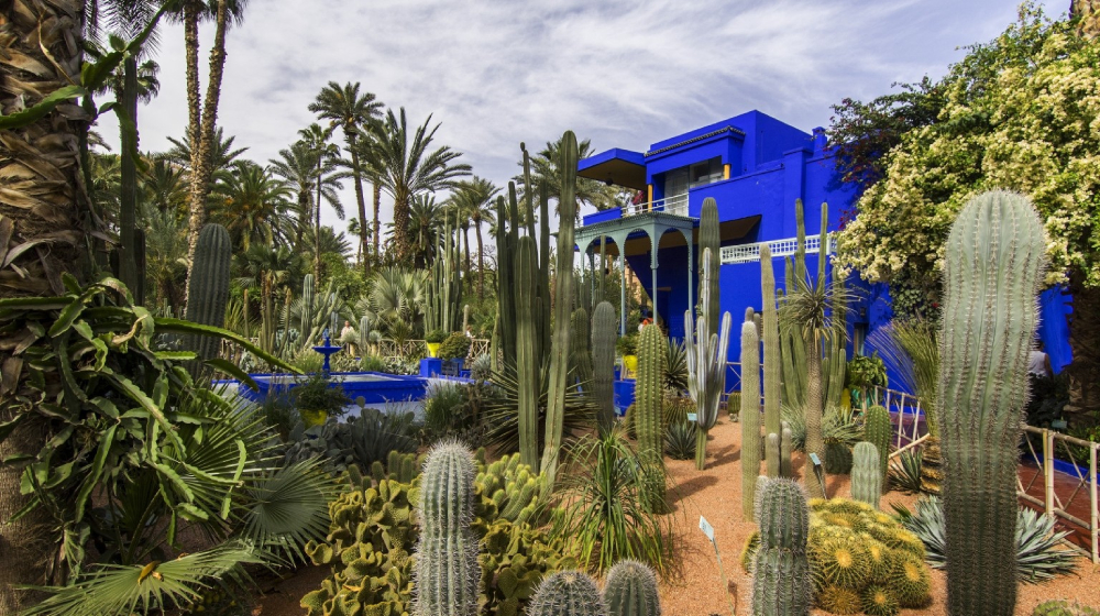 jardin majorelle