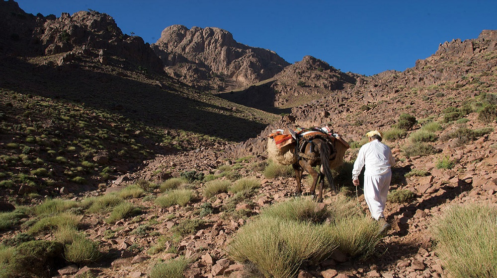 trekking morocco