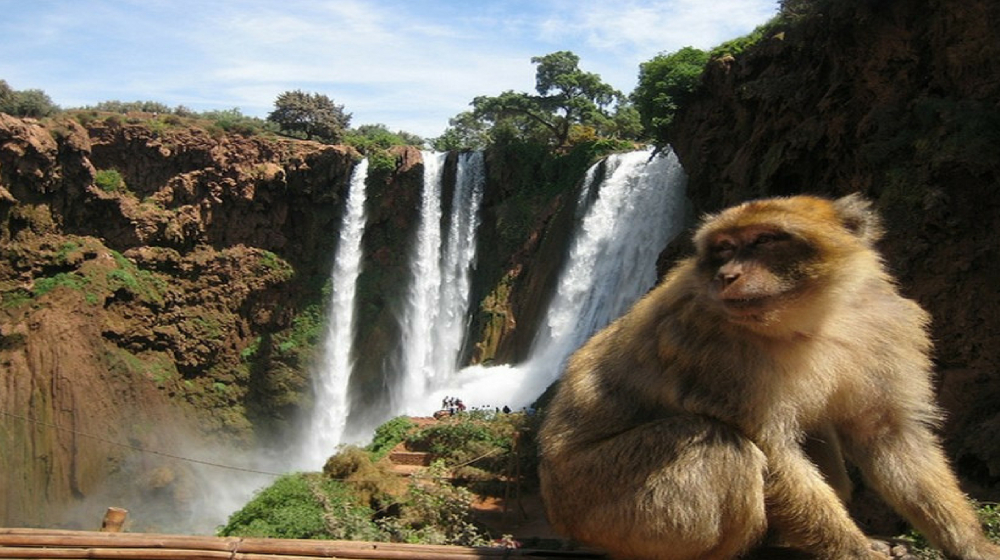 marrakech ouzoud